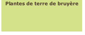 Plantes de terre de bruyère