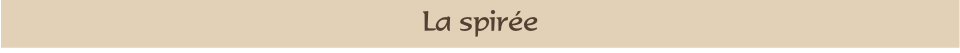 La spirée