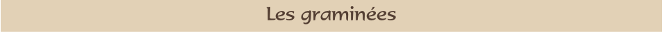 Les graminées