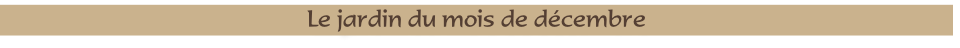 Le jardin du mois de décembre