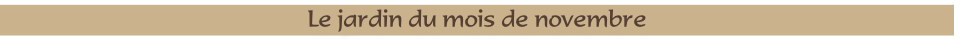 Le jardin du mois de novembre