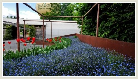 Jardins d'exception : Terra Botanica