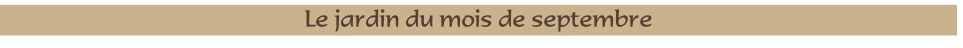 Le jardin du mois de septembre
