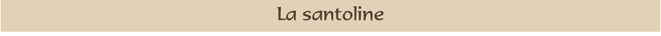 La santoline