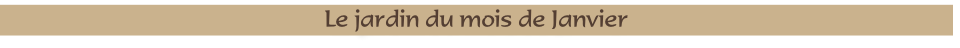 Le jardin du mois de Janvier
