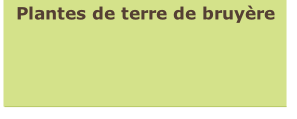 Plantes de terre de bruyère