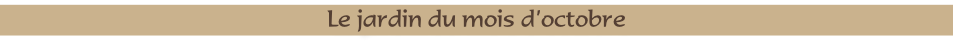 Le jardin du mois d’octobre