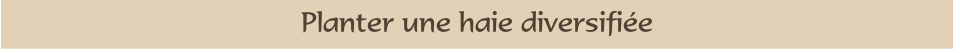 Planter une haie diversifiée
