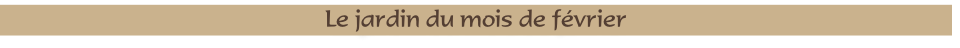 Le jardin du mois de février
