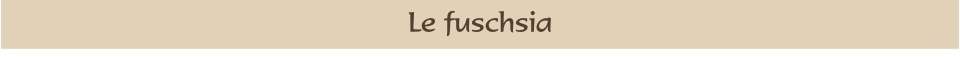 Le fuschsia