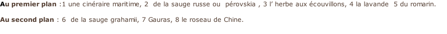 Au premier plan :1 une cinéraire maritime, 2  de la sauge russe ou  pérovskia , 3 l’ herbe aux écouvillons, 4 la lavande  5 du romarin.  Au second plan : 6  de la sauge grahamii, 7 Gauras, 8 le roseau de Chine.