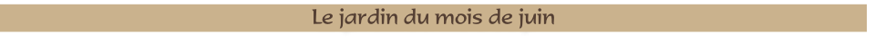 Le jardin du mois de juin