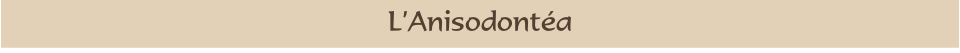L’Anisodontéa